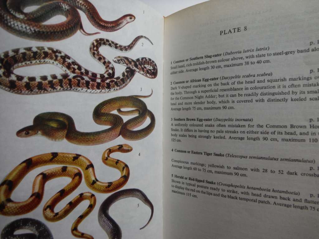 A Field Guide to the Snakes of Southern Africa - Hardcover - Nature Lover`s Library