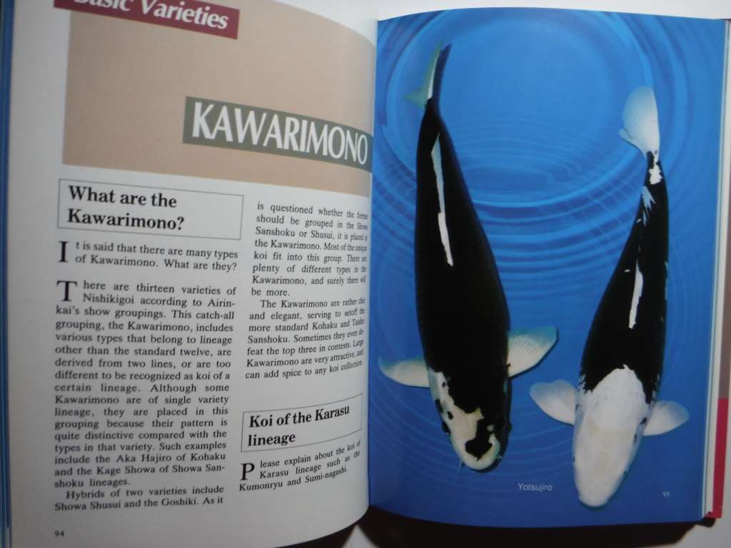 Modern Nishikigoi : Basic Varieties and Unique Koi - Hardcover - Takeo Kuroki - 1986 First Edition