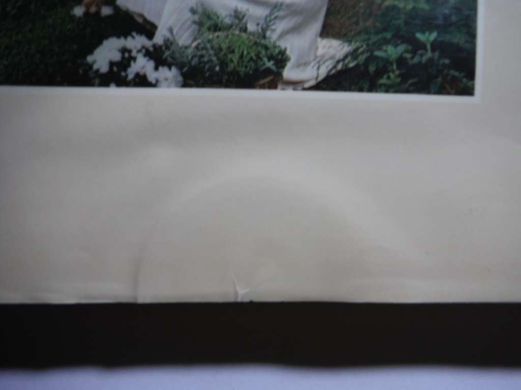 Growing Herbs with Margaret Roberts : A Guide to Growing Herbs in South Africa - Hardcover