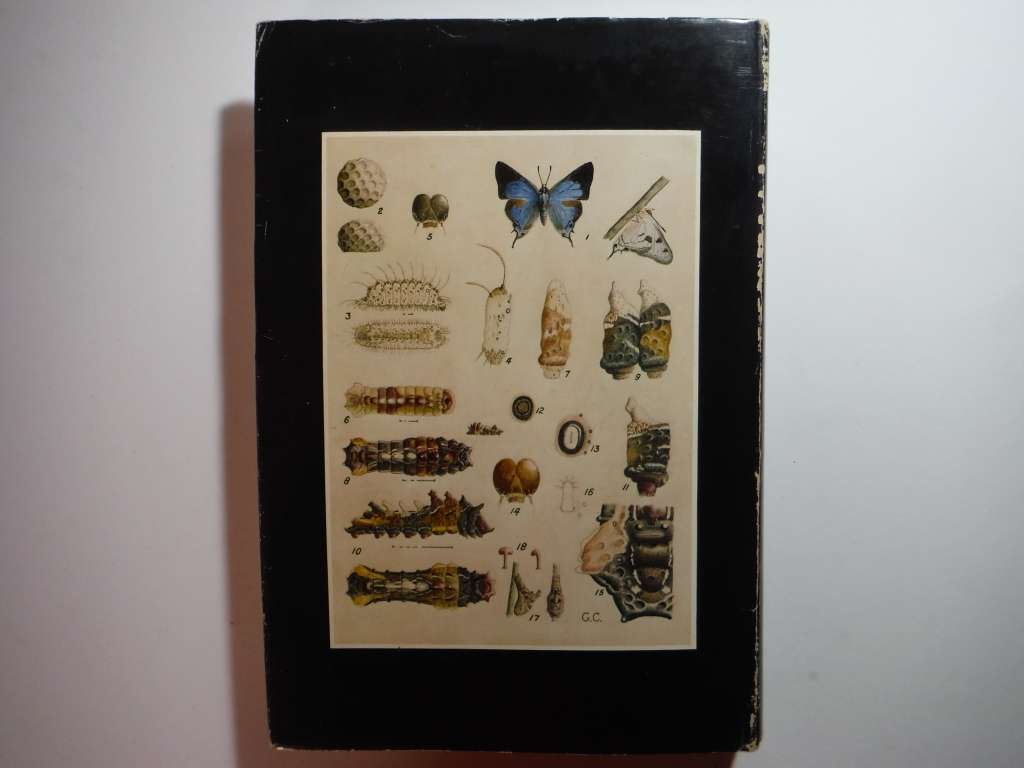 Life Histories of the South African Lycaenid Butterflies - Hardcover - Gowan C. Clark - 1971