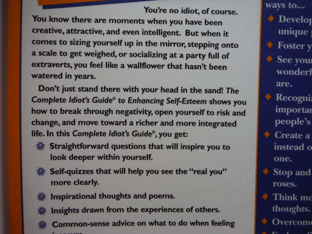 The Complete Idiot`s Guide to Enhancing Self-Esteem - Softcover - Mark J. Warner, Ed.D.