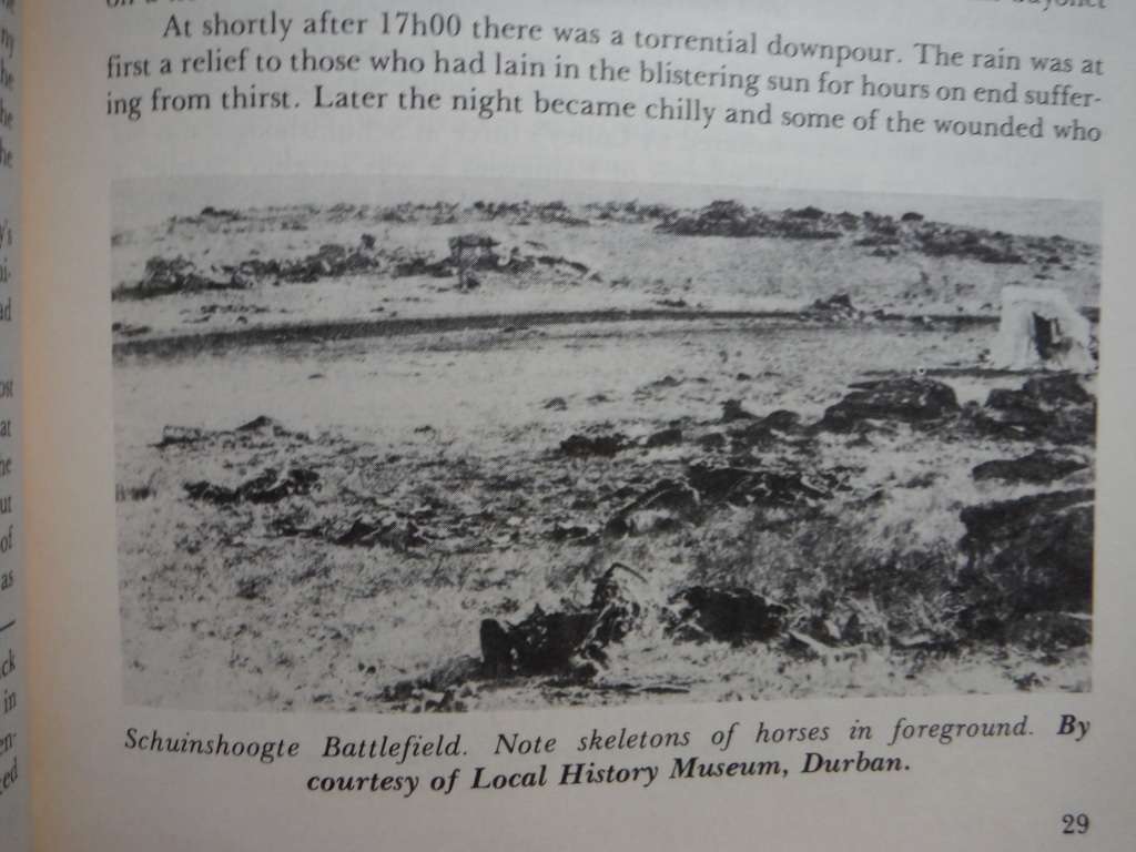 David & Goliath : The First War of Independence 1880 - 1881  - Softcover