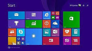 Windows 8.1 Professional (32/64Bit)