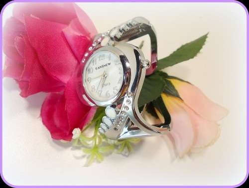 --***LADIES **  LOVELY CANSNOW **SILVER BANGLE **QUARTZ WATCH**