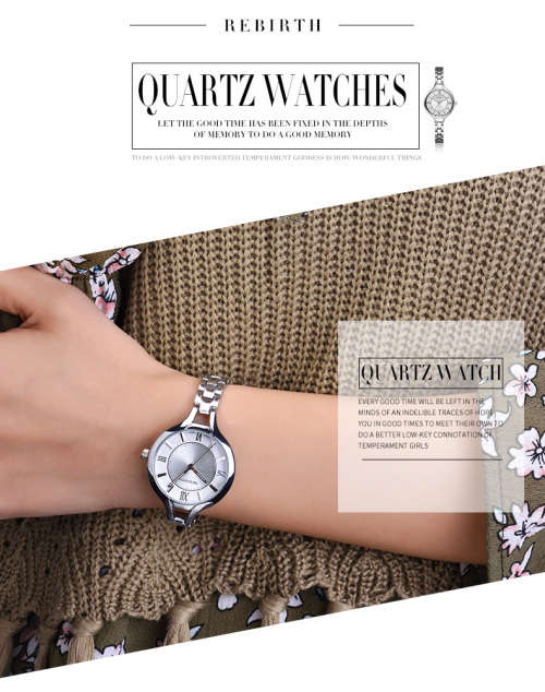 *REBIRTH BRAND RE039*  Modern Women Swiss Quality  Quartz Watch with Steel  Strap