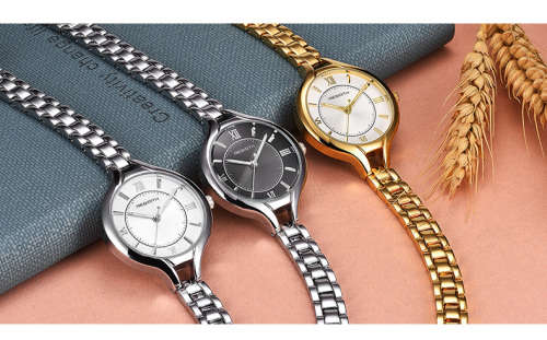 *REBIRTH BRAND RE039*  Modern Women Swiss Quality  Quartz Watch with Steel  Strap
