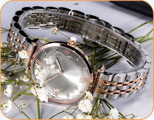 Civo *8059C* Ladies Top Luxury FULL Steel Quality Watch **Silver Dial **