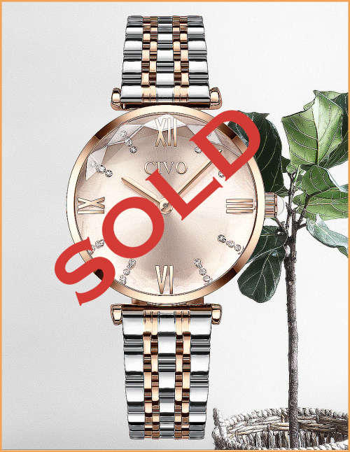 Civo *8059C* Ladies Top Luxury FULL Steel Quality Watch **Silver Dial **
