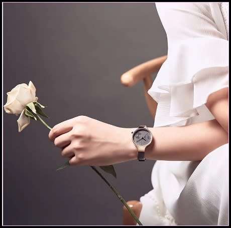 * Magnifisant* Naviforce* Lady Georgeos  Luxury Watch*