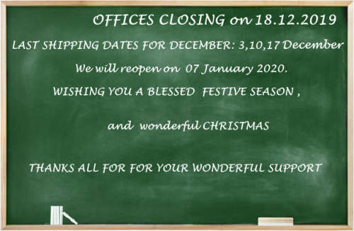 * Magnifisant* Sunkta * Lady Georgeos Steel Ceramic Band Bracelet Luxury Watch*BLACK