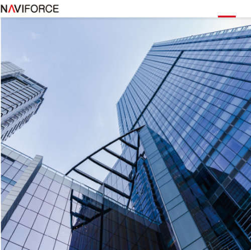 *Naviforce 3012 *  - Ladies Lovely Quality Fashion Watch *All Steel* Blue* 2 Sizes *