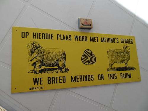 large plastic Merinos sheep on this farm sign