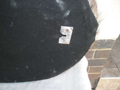 Stunning Back side Ring Bok Taxidermy size is 720mm high collection only by buyer