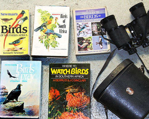Books and Binoculars