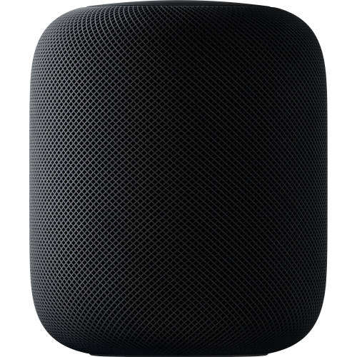 APPLE HOMEPOD SPACE GRAY | INSTOCK