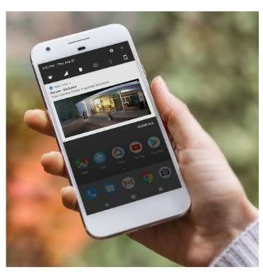 GOOGLE NEST CAM IQ OUTDOOR SECURITY CAMERA | INSTOCK