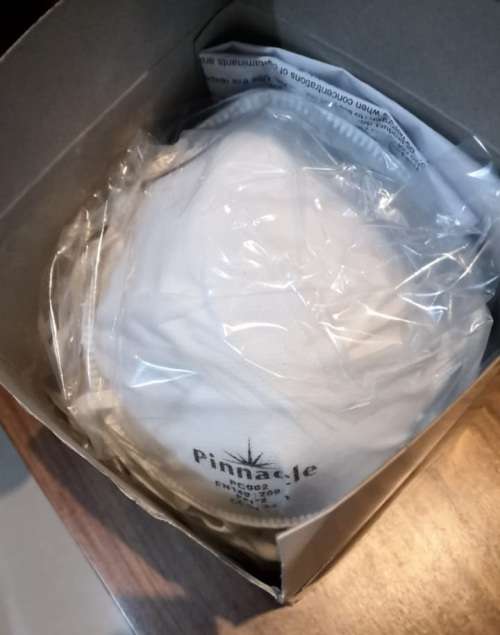Pinnacle FFP2 Dust Masks- SABS Approved (Box of 20)