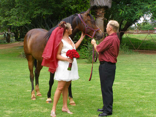 Wedding Planner For Your Dream Day - All Work Done At No Charge