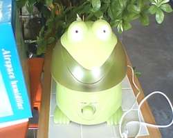 4 in 1 Air Quality Enhancer