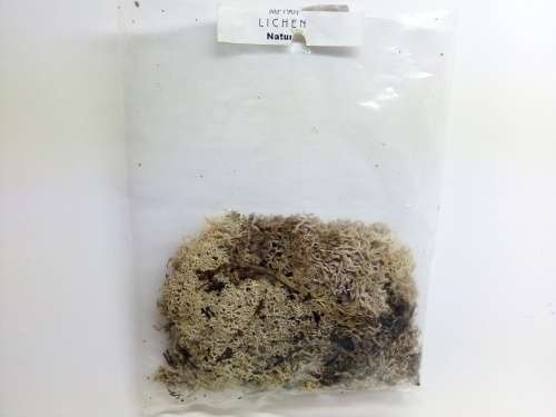 HO/OO LICHEN NATURAL