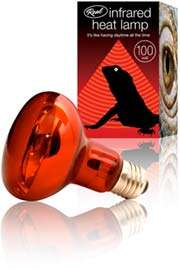 Reptiles Infra Red Spot Lamp 60W - (Bulk Pack of 10)