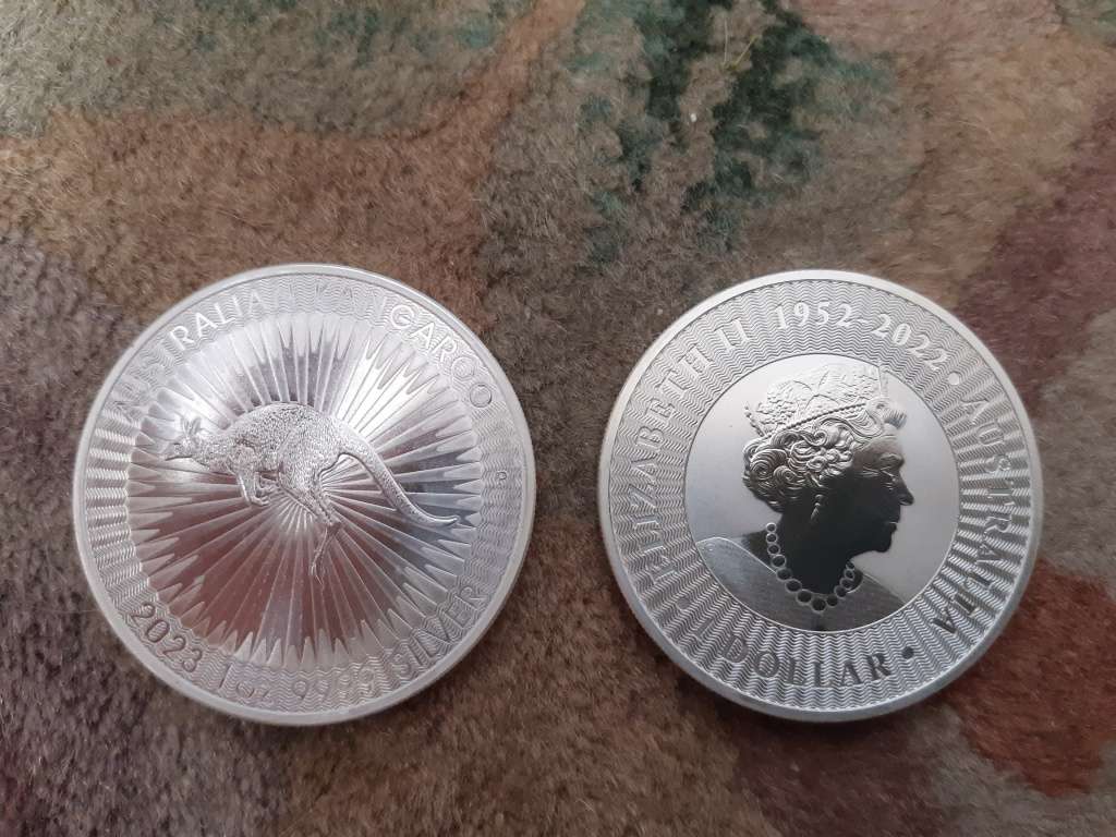 1 oz Australian Silver Kangaroo Coins -- Tube of 15 Coins (R520 per Coin)