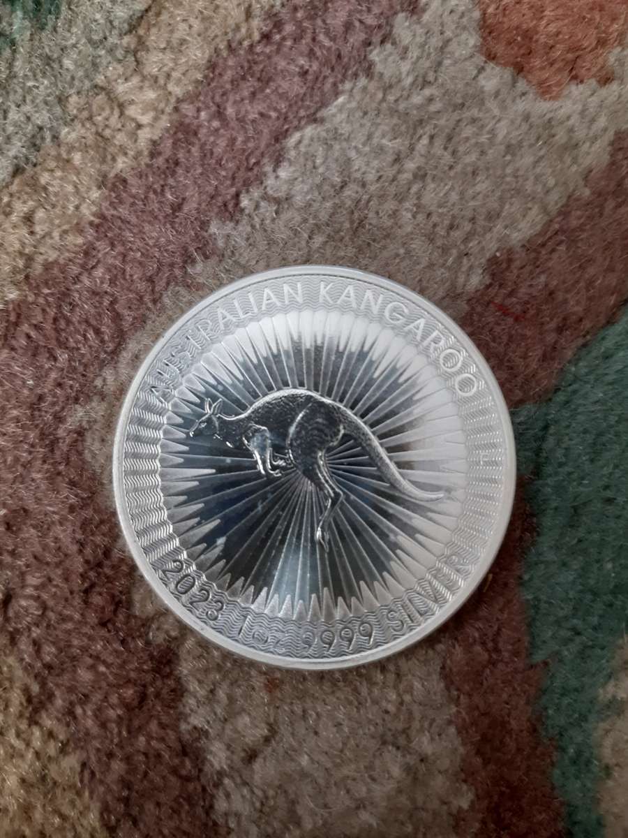 1 oz Australian Silver Kangaroo Coins -- Tube of 15 Coins (R520 per Coin)