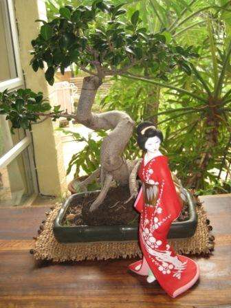 Exquisite Japanese Hakata geisha doll