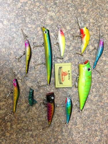 Set of 10 New Fishing Lures - Fresh or Salt Water