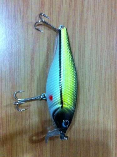 Fishing Lure - Fresh or Sea Water