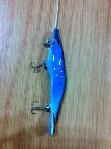 Fishing Lure - Fresh or Salt Water