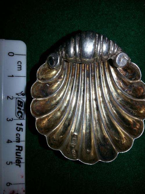 Hallmarked Edwardian Silver Salt Shell