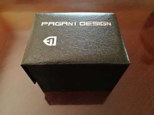 Pagani Men's Mechanical Watch (Classic Diving Series Mechanical Watch)