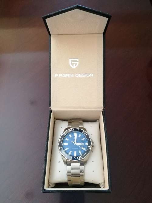 Pagani Men's Mechanical Watch (Classic Diving Series Mechanical Watch)