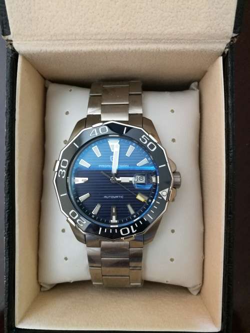 Pagani Men's Mechanical Watch (Classic Diving Series Mechanical Watch)