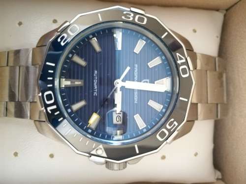 Pagani Men's Mechanical Watch (Classic Diving Series Mechanical Watch)