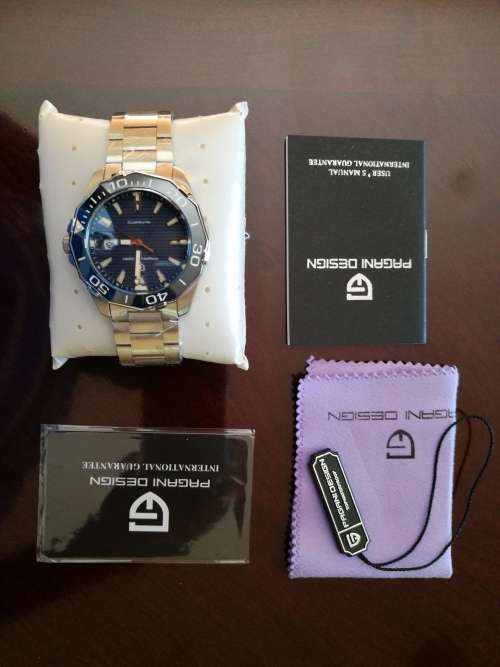 Pagani Men's Mechanical Watch (Classic Diving Series Mechanical Watch)