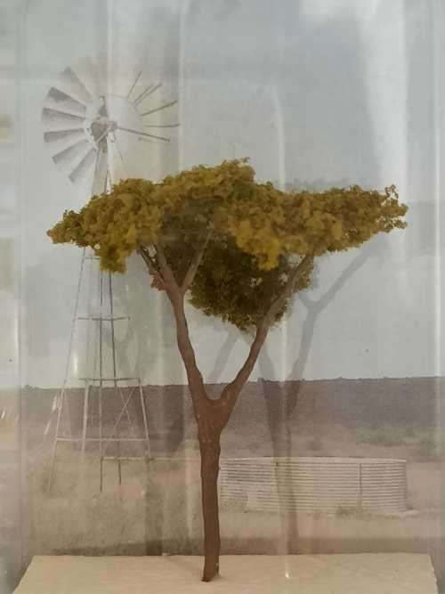 Acacia HO Scale