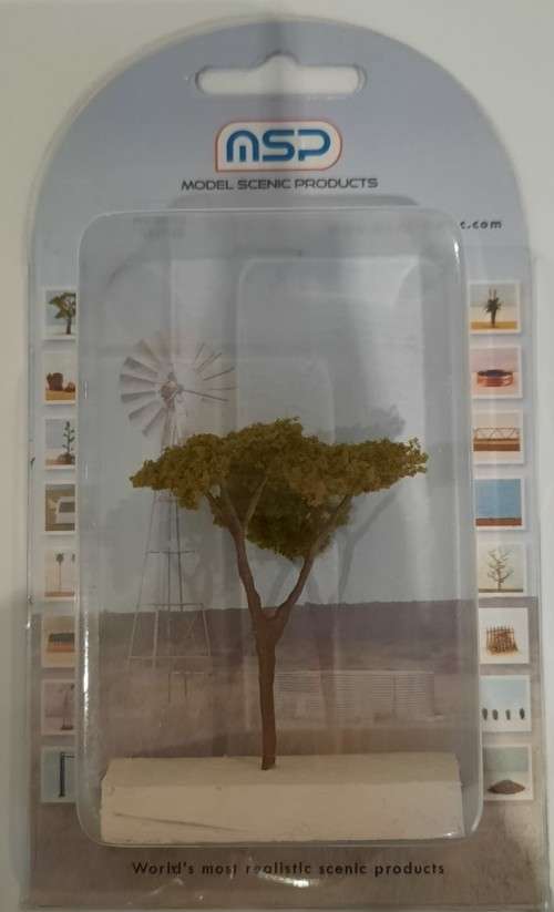 Acacia HO Scale