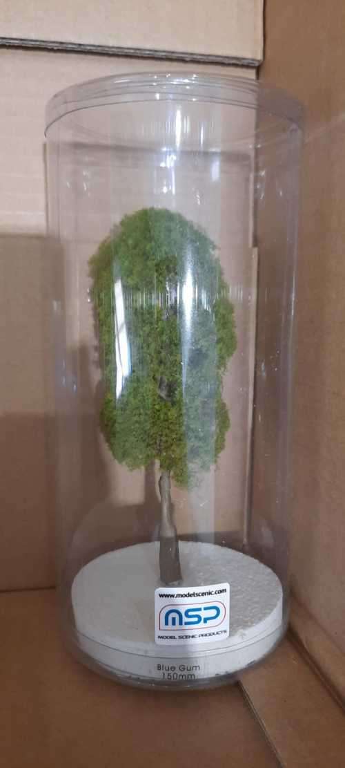 Blue Gum HO Scale-150mm