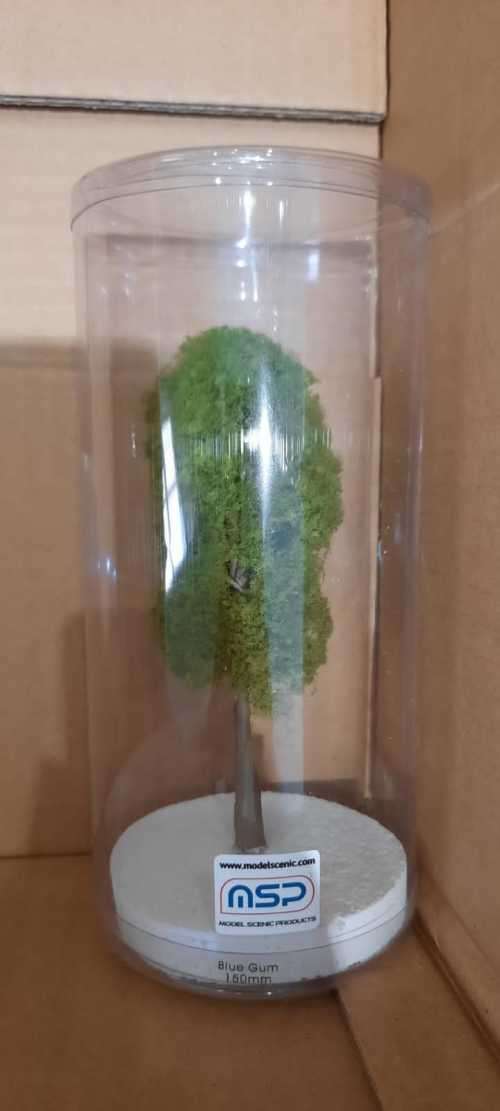 Blue Gum HO Scale-150mm