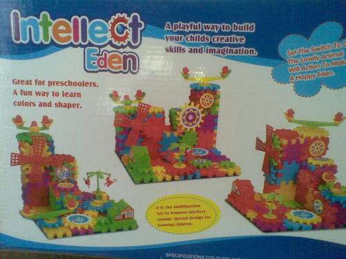 INTELLECT EDEN BLOCKS great for preschoolers