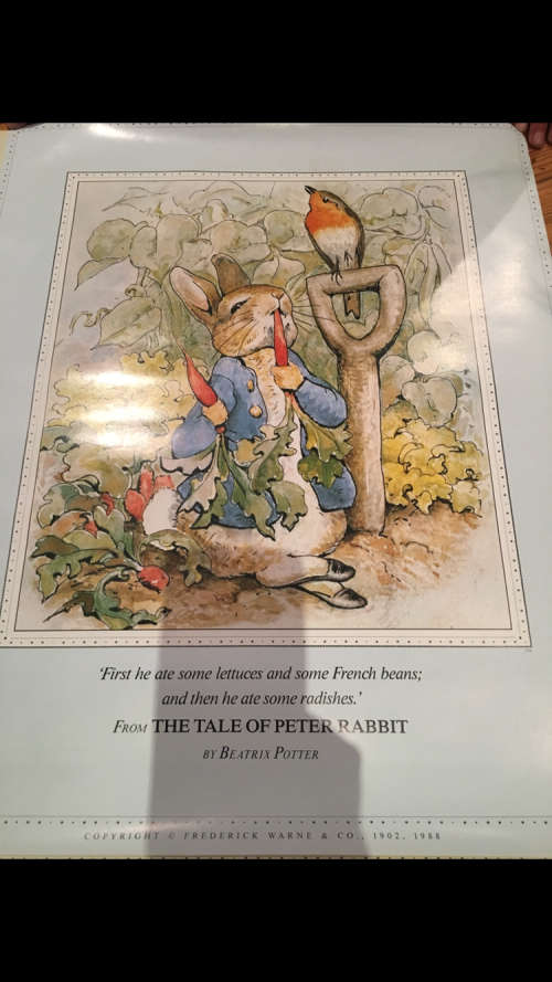 Beatrix Potter Print from The Tale of Peter Rabbit