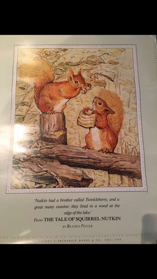 Beatrix Potter Print from The Tale of Squirrel Nutkin