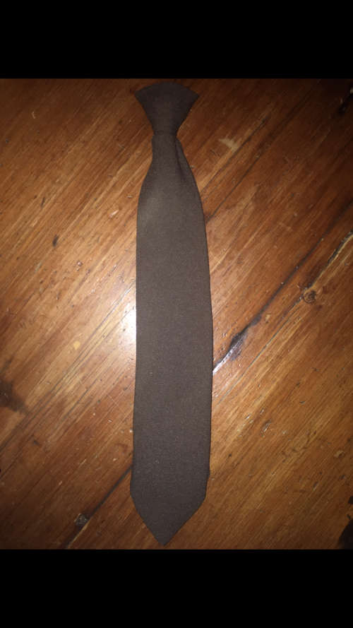 Vintage Brown Clip on Tie