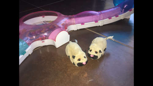 2 x Zhu Zhu Pets / Go Go Pet Hamsters with Playhouse