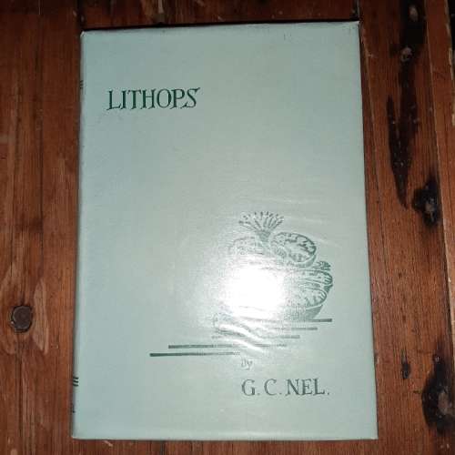 Lithops - By G.C. Nel