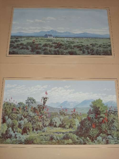 2 x J. Volschenk - 1912 Prints