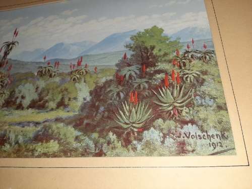 2 x J. Volschenk - 1912 Prints