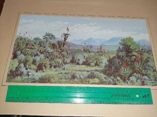 2 x J. Volschenk - 1912 Prints